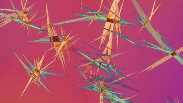 carousel_filler
