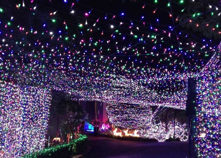 500 000 christmas lights break guinness world record the 500 000 christmas lights break guinness world record the