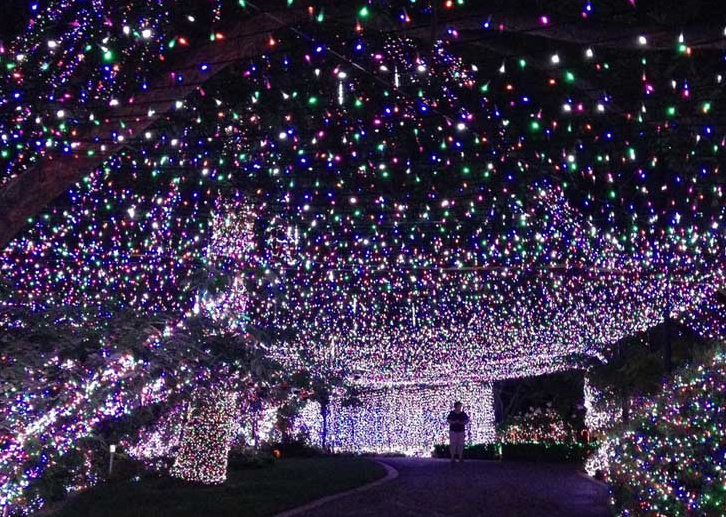 500 000 christmas lights break guinness world record the 500 000 christmas lights break guinness world record the